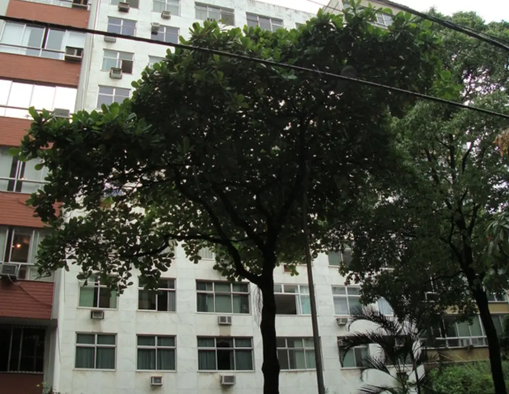 Edificio Santo Antonio
