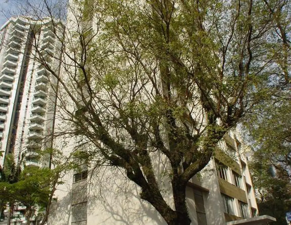 Edificio Carmem — foto 2