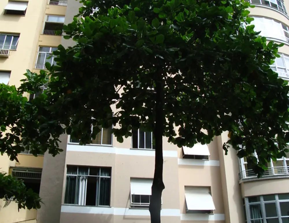 Edificio Nicias