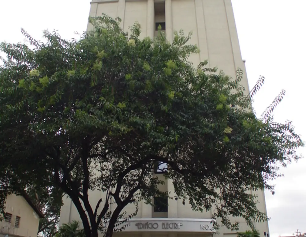 Edificio Electra — foto 2