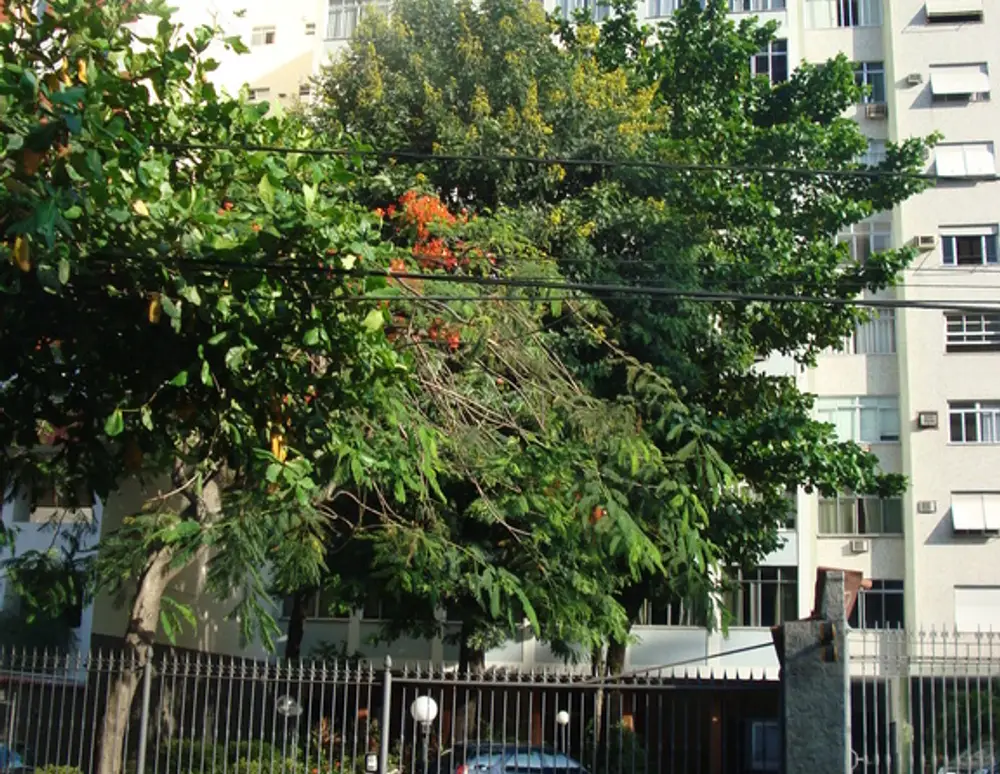 Edificio Paulo Cavalcanti