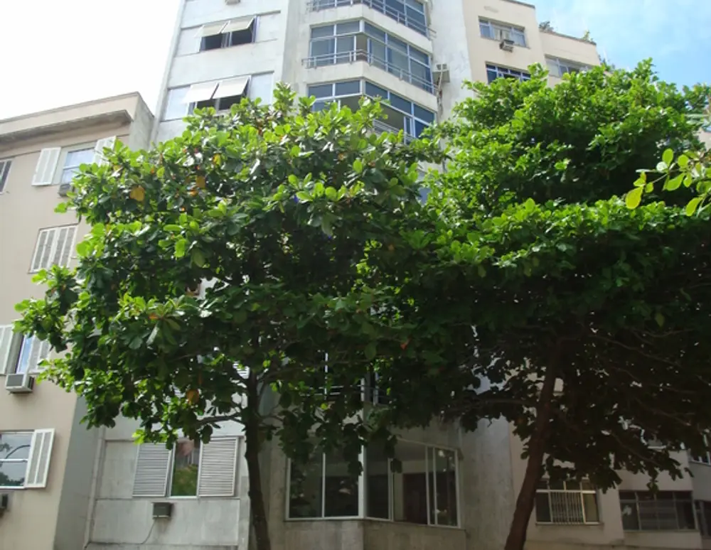 Edificio Del Rio
