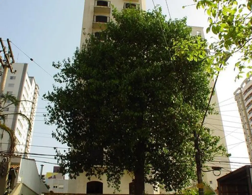 Edificio Residencial Citta Di Napoli — foto 3