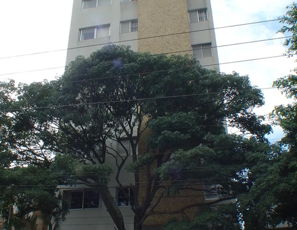 Edificio Samambaia