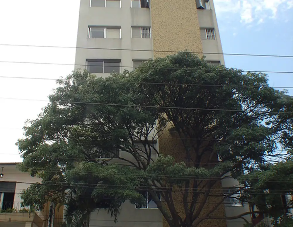 Edificio Samambaia — foto 2