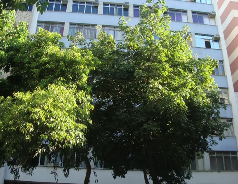 Edificio Buriti