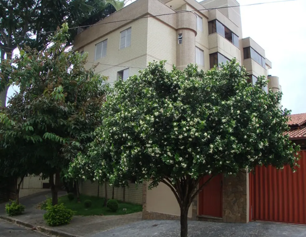Edificio Joao Gabriel Mattos
