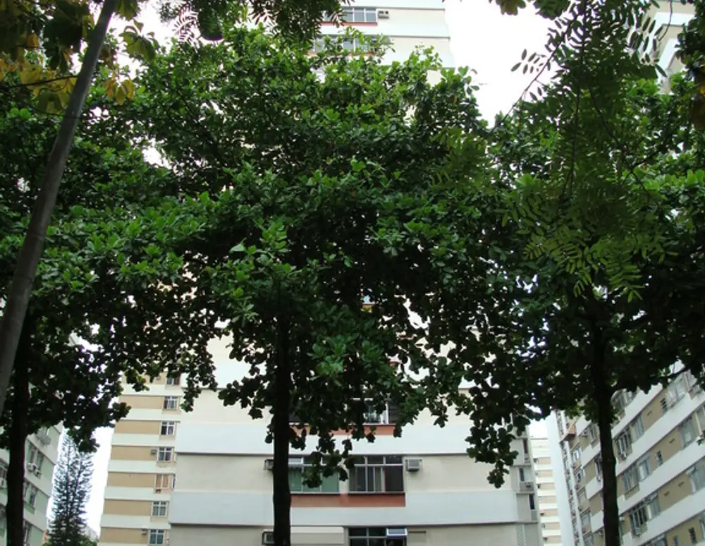 Edificio Aquarius