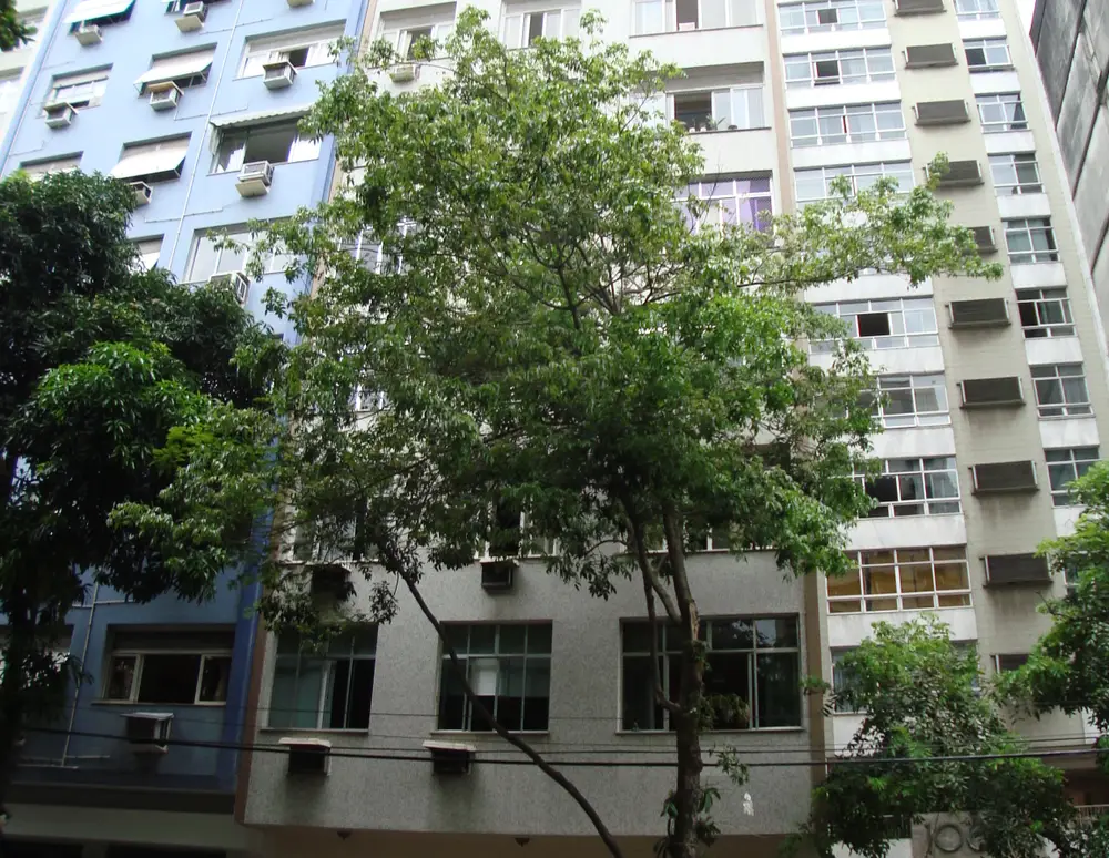 Edifício Rio Ivai — foto 2
