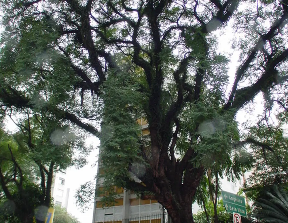 Edificio Itamirim