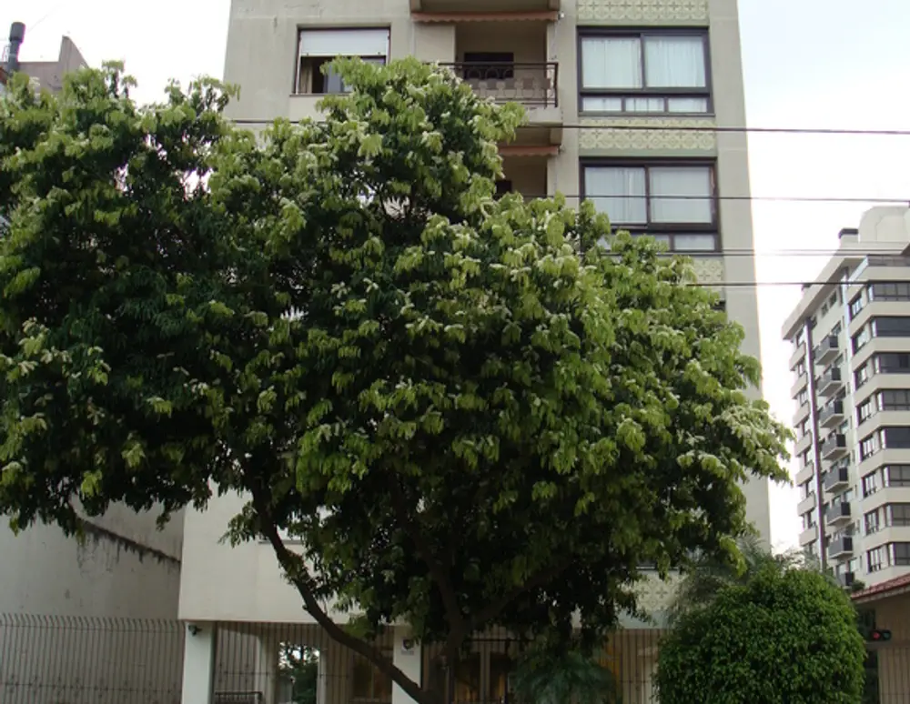 Edificio Imperador