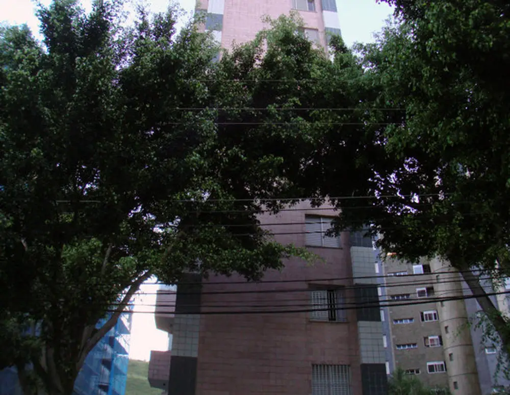 Edificio Borghese