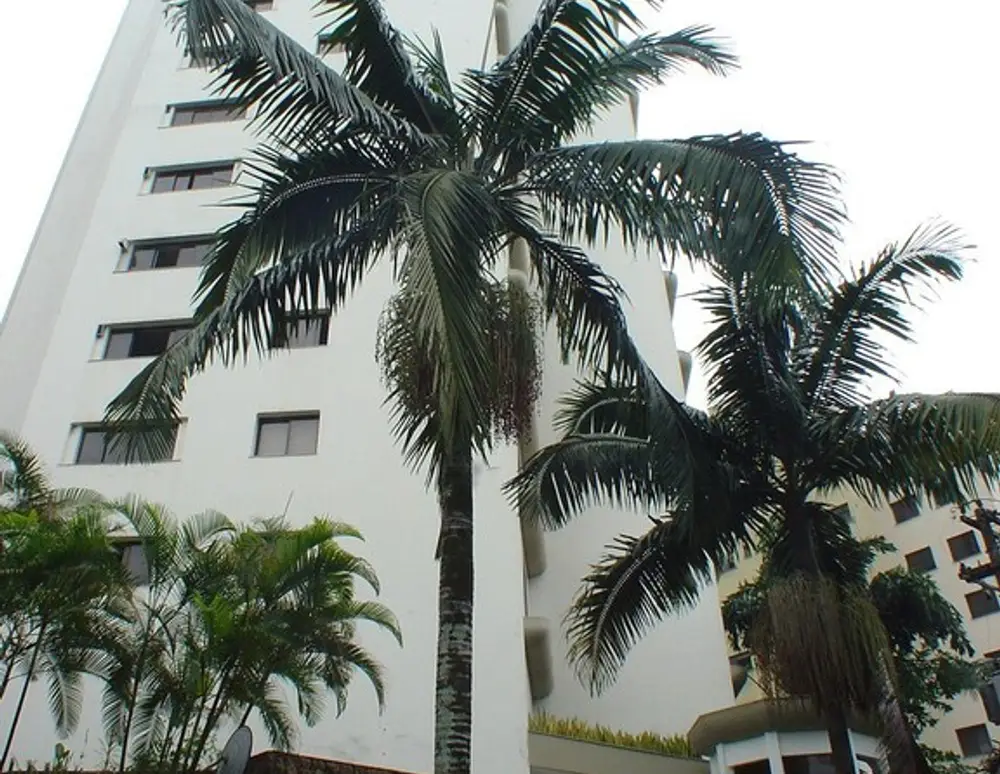 Edificio Ilha de Capri — foto 3