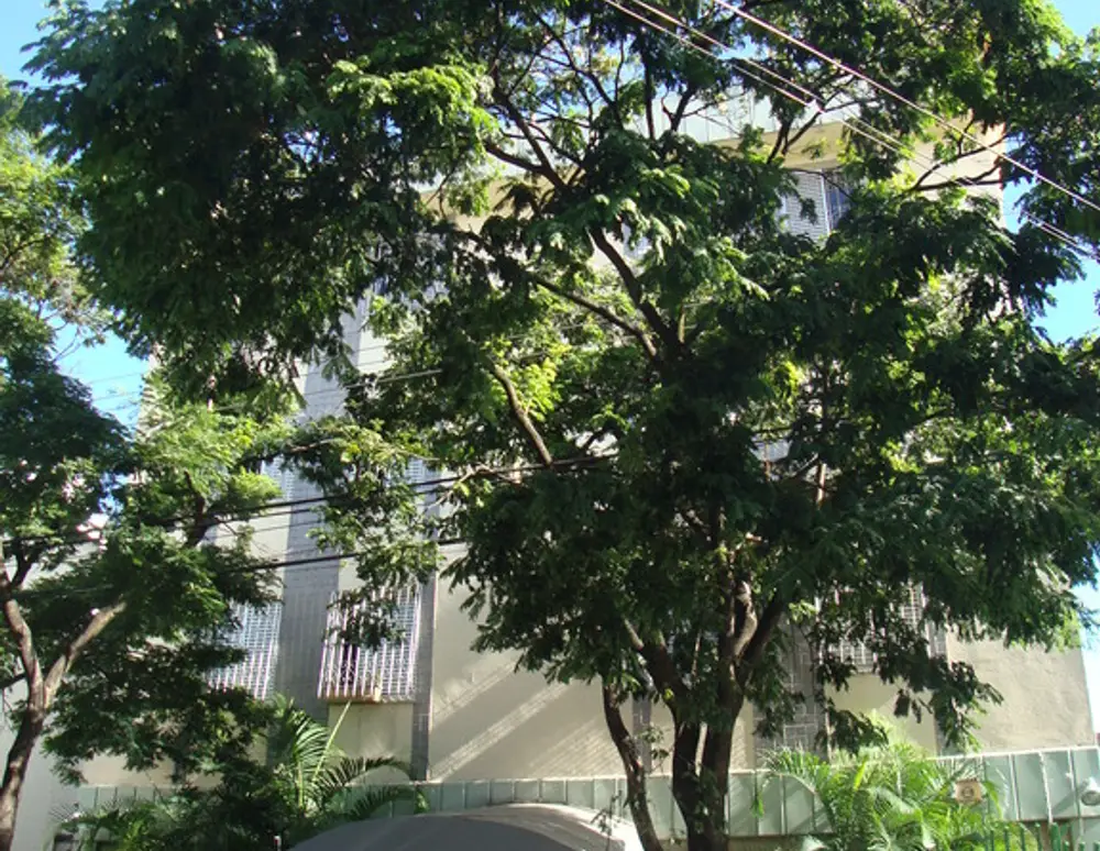 Edificio Marajo