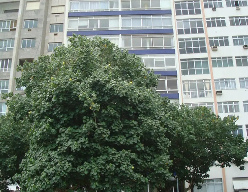 Edificio Cannes