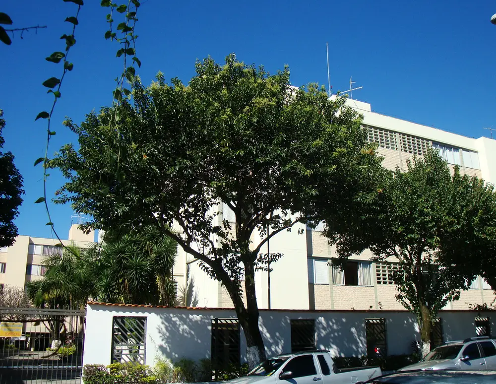 Vila Guilherme