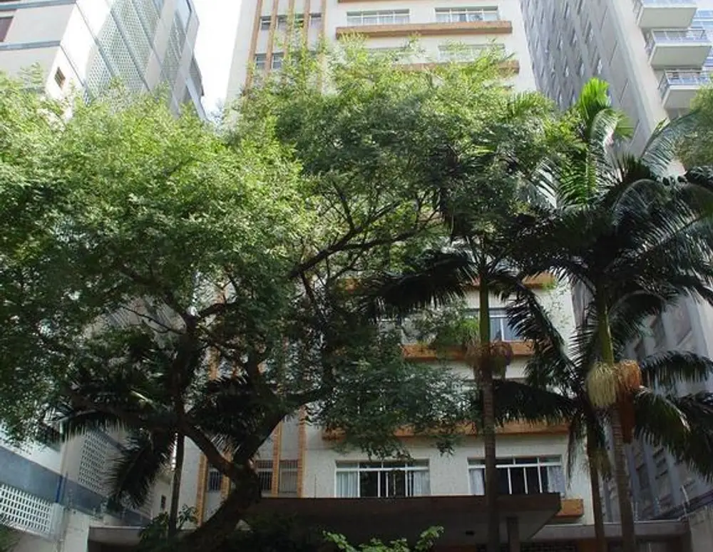 Edificio Magnolia — foto 2