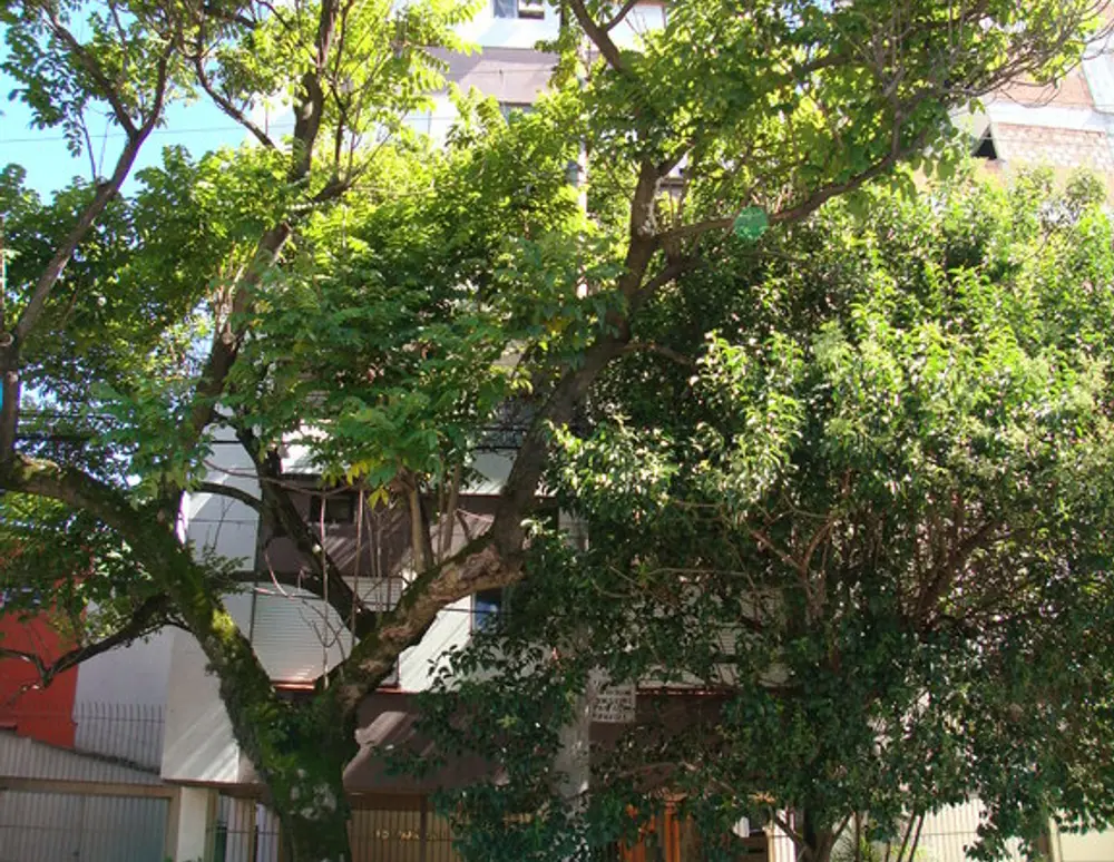 Edificio Panorama