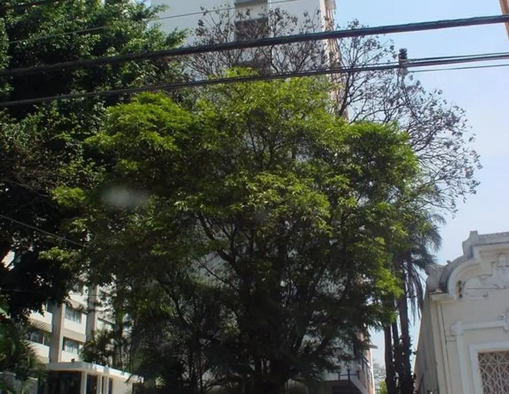 Edificio Montsouris