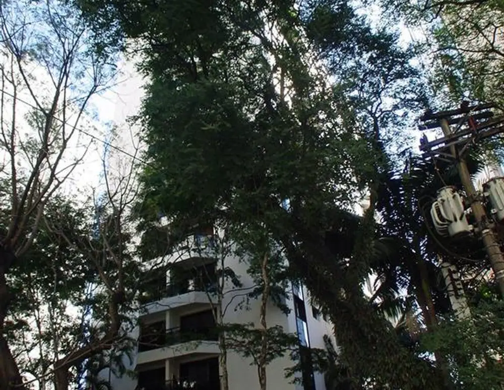 Edificio Duplex Life