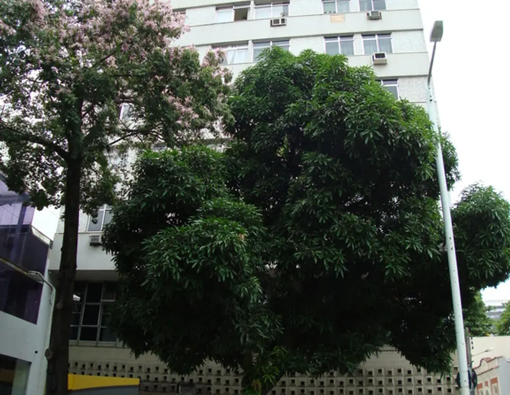 Edificio Silvia