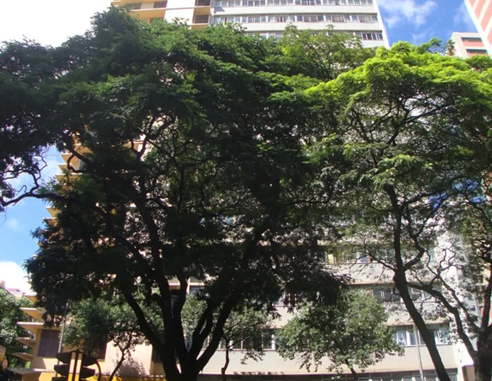 Edificio Nsra de Lourdes