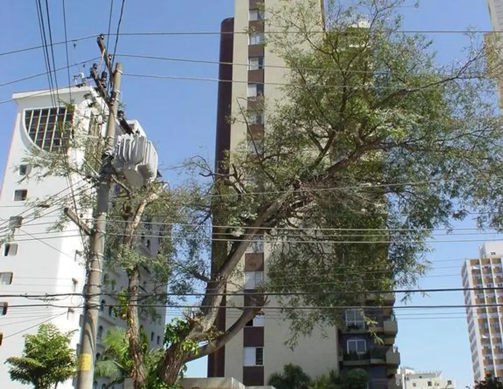 Edificio Ilha de Vera Cruz