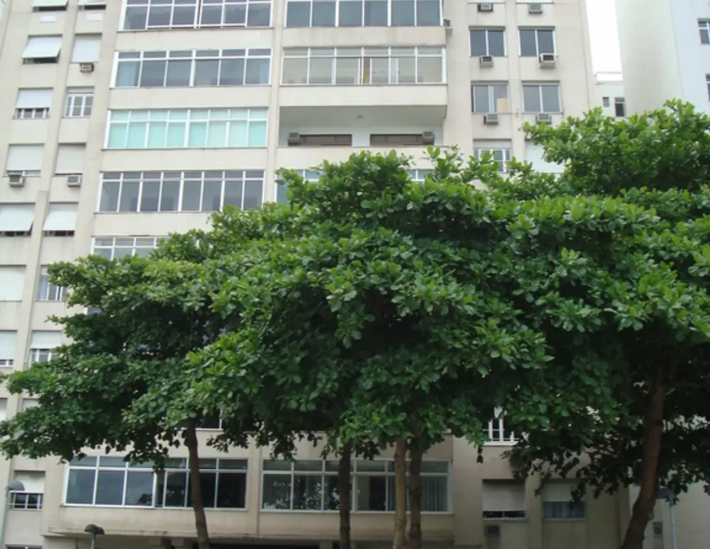 Edificio Manhatan