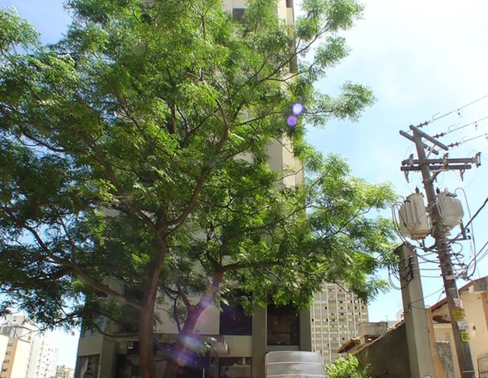 Edificio Residencial Paris — foto 3