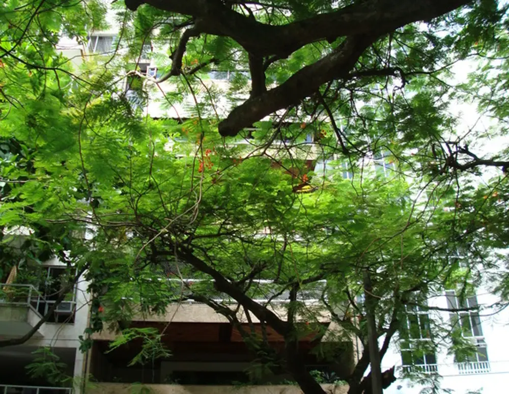 Edifício Renata