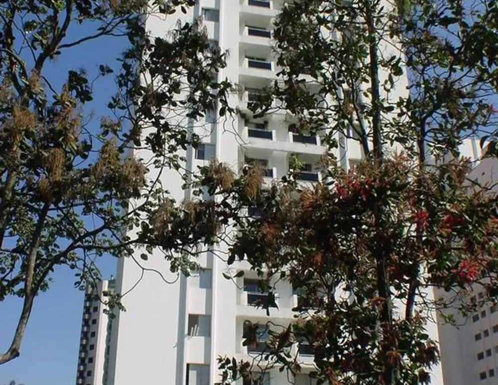 Edificio Maison Mont Blanc