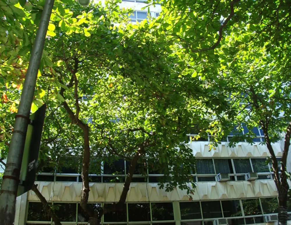 Edificio Joao Marques dos Reis