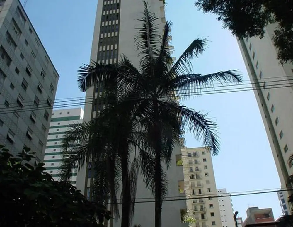 Edificio Michelle