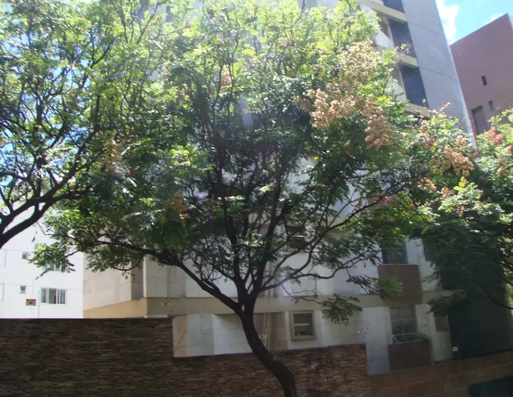 Edificio Arthur Augusto