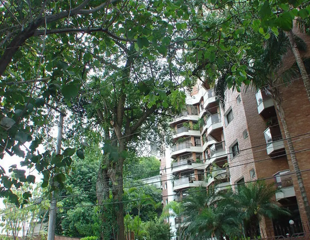 Edificio Royal Park — foto 5