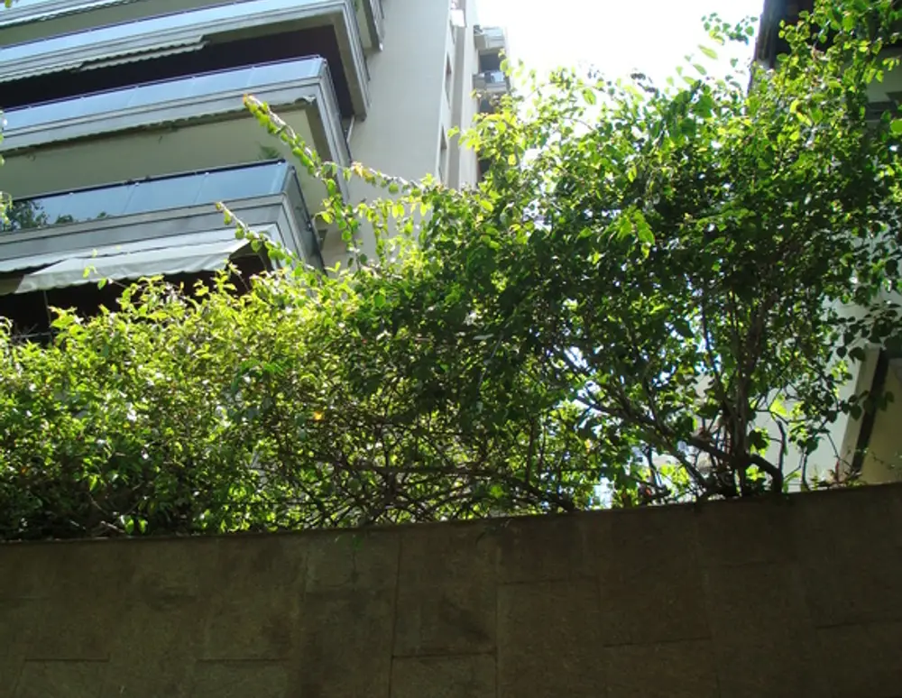 Edificio Gavea D'or