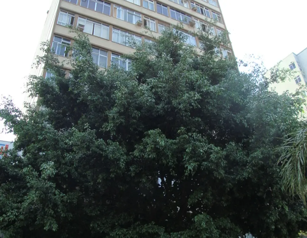 Edificio Palacio Mourisco