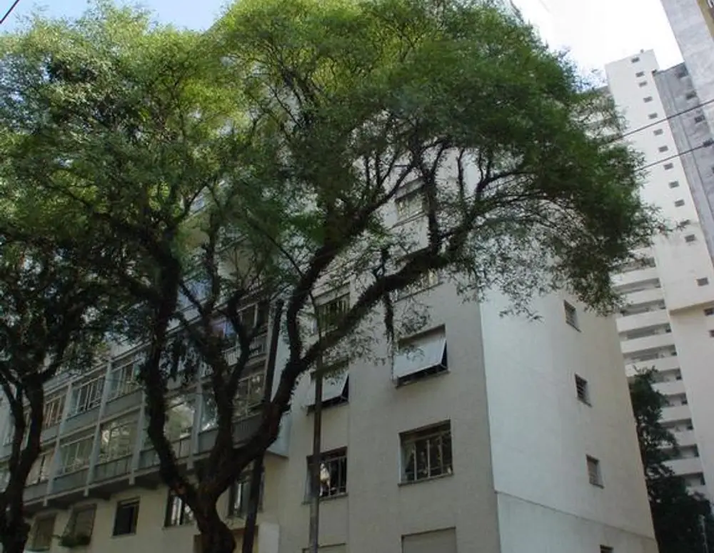 Edificio Higienopolis — foto 2