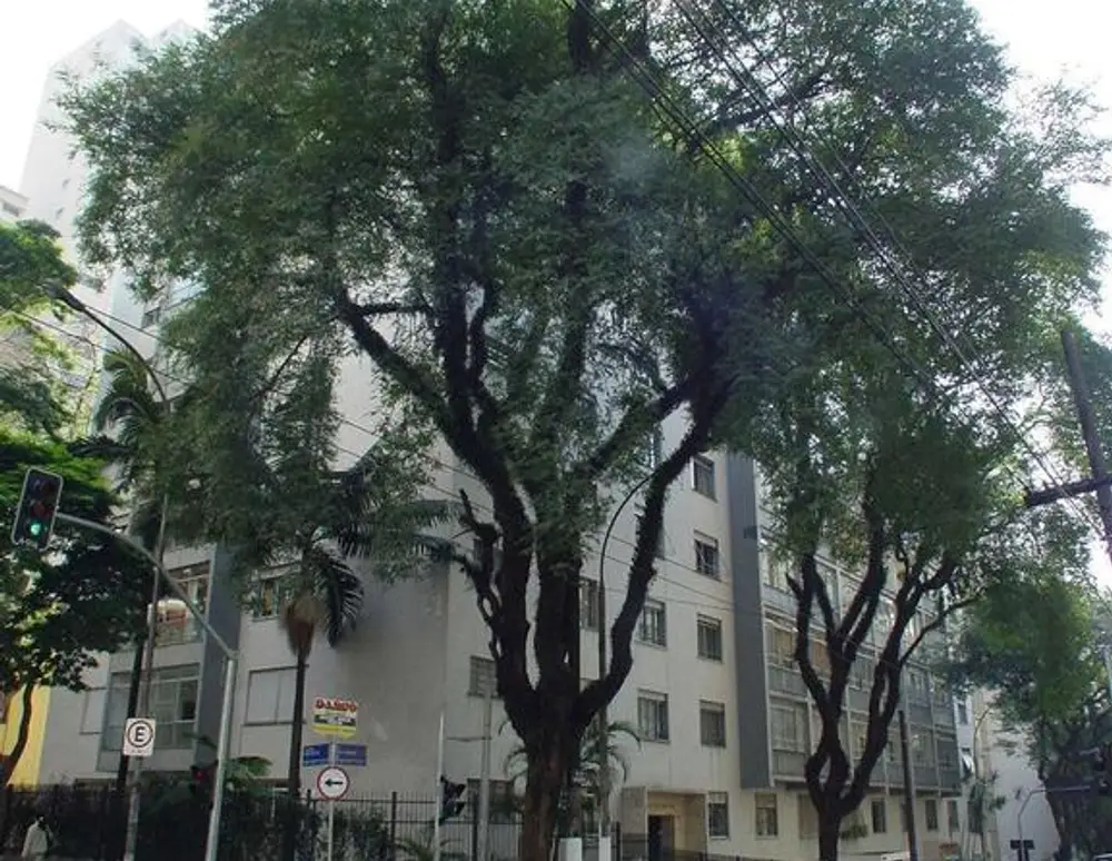Edificio Higienopolis — foto 3