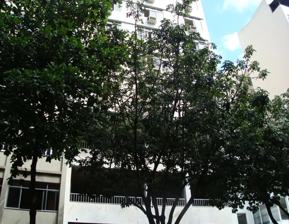 Edificio Marazul