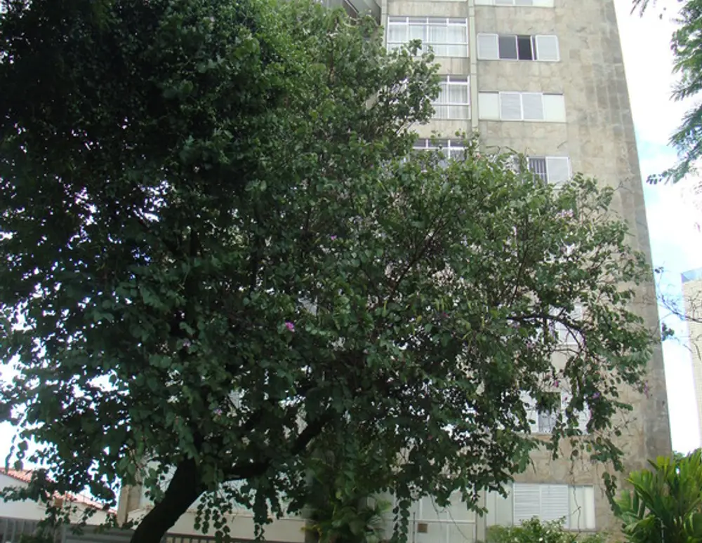 Edificio Atlantis