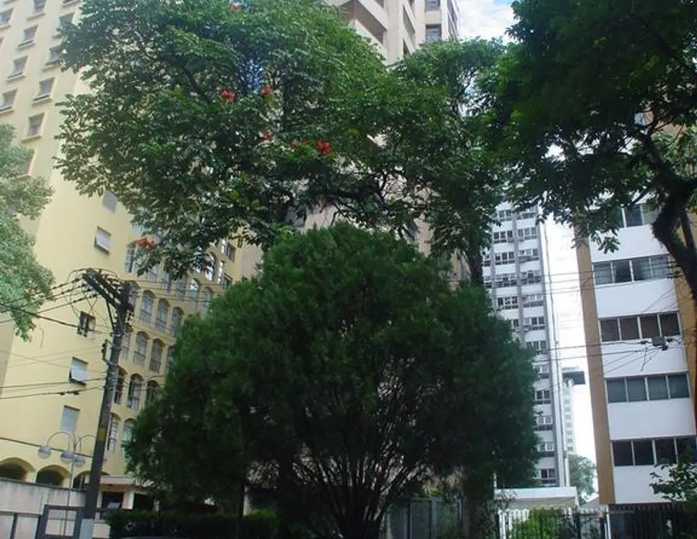 Edificio Samambaia — foto 2