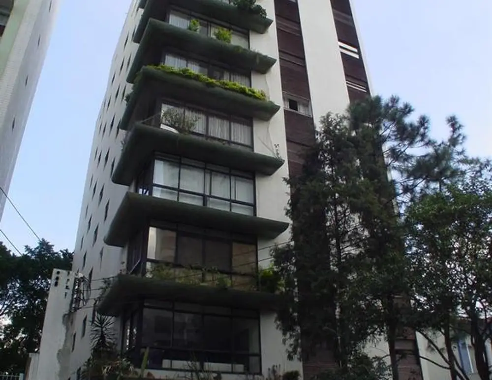 Edificio Ype Branco