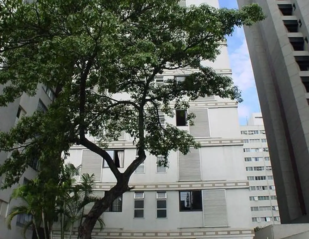 Edificio Dona Clara — foto 2