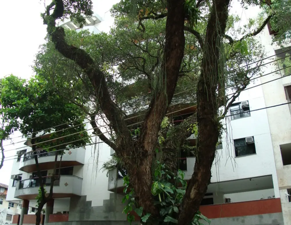 Edificio Quality Leblon