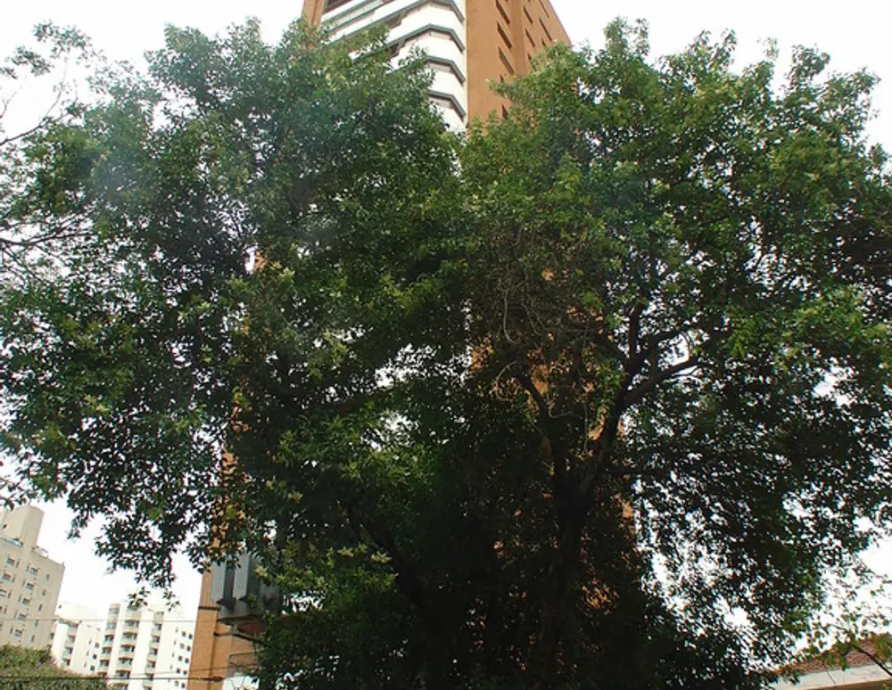 Edificio Piazza Quadrifoglio — foto 4