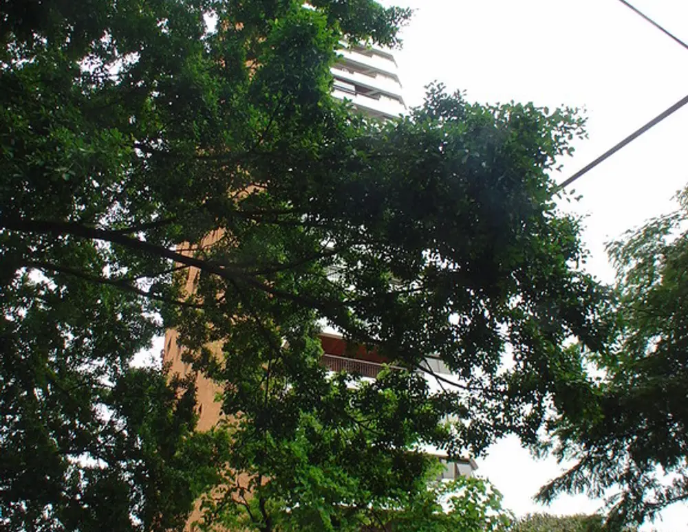 Edificio Piazza Quadrifoglio — foto 5