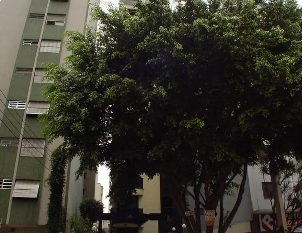 Edificio Fine Art
