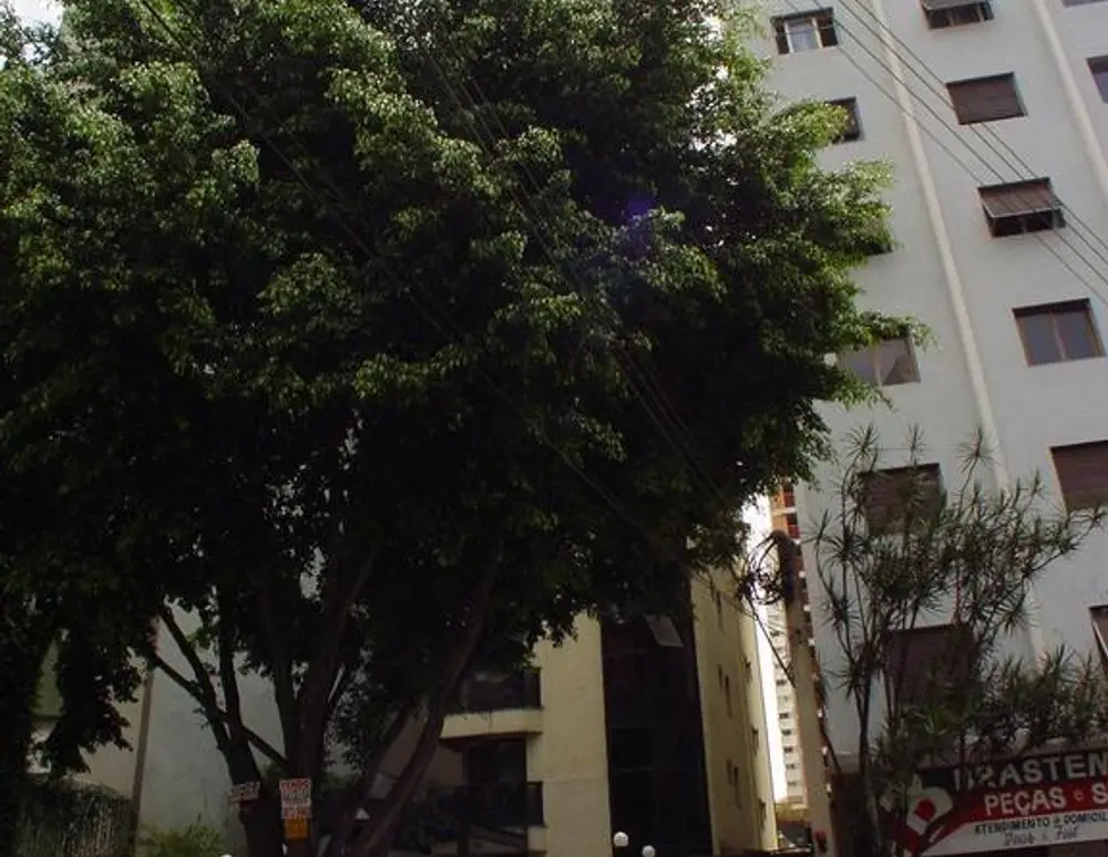Edificio Fine Art — foto 2