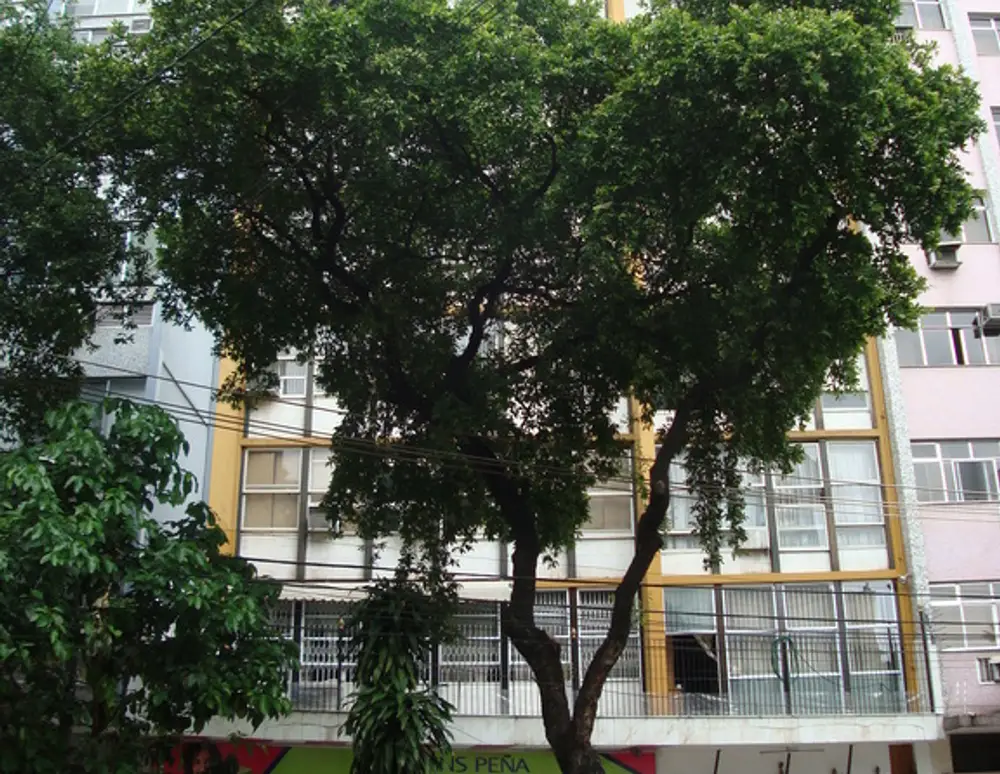 Edificio Jardim Bahia